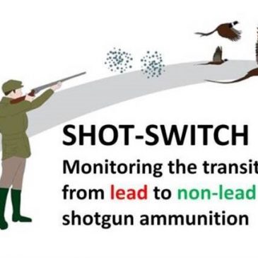 New publication from the SHOT-SWITCH project on transitioning from toxic-lead ammunition in game hunting
