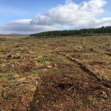 FUNDED PhD opportunity – Modelling eco-hydrological feedbacks and resilience in blanket bogs undergoing restoration in the context of climate change