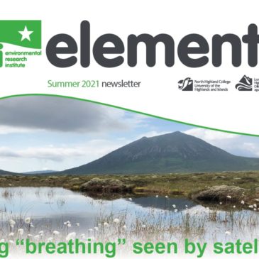 Summer Edition – ERI Elements Newsletter
